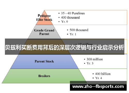 贝兹利买断费用背后的深层次逻辑与行业启示分析